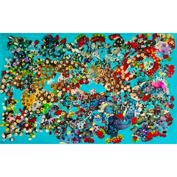 Sea Creatures Sea Creatures